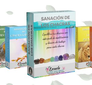mockup curso de sanacion y equilibrio de los chakras